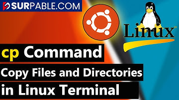 What is cp Command in Linux | How to Copy Files and Directories in Linux