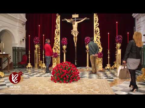 Real, Ilustre y Fervorosa Hermandad Sacramental de la Pura y Limpia Concepción de la Santísima Virgen María, Ánimas Benditas del Purgatorio y Cofradía de Nazarenos del Santísimo Cristo de la Salud, María Santísima del Refugio, Santa Cruz, Nuestra Señora del Patrocinio, Santa Bárbara y San Bernardo
