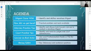 CLE: Florida’s Playbook on Vexatious Litigation