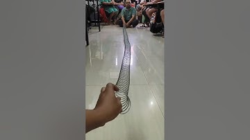 Wave Motion demonstration complete video #wavephysics #sciencefun #funlearning #physicslearning