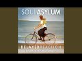 Soul Asylum - Delayed Reaction