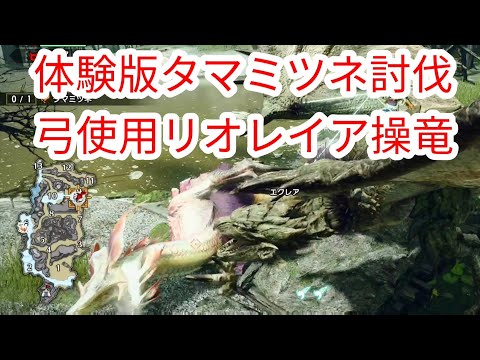 【MHRise】体験版 弓でタマミツネ討伐 レイア操竜【モンハンライズ】