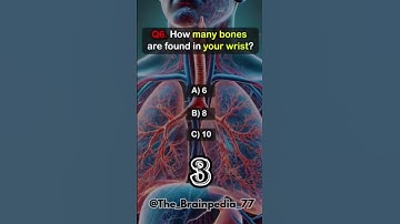 brain quiz #the_brainpedia_77 #brainlearning #braingame #quiz #braintestsolution