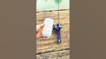Hướng dẫn móc mồi mềm đuôi T câu lure #câucá #fishing