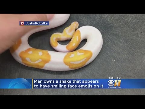Snake Has What Looks Like Smiling Emojis