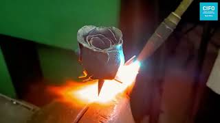 Sant Jordi 2025 - Cifo Sant Feliu