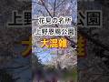 桜の名所上野恩賜公園 大混雑 大行列 Shorts Japan 旅行 東京 Tokyo 桜 Sakura Spring 上野動物園 桜名所 花見 桜の名所上野恩賜公園 大混雑 大行列 Shorts Japan 旅行 東京 Tokyo 桜 Sakura Spring 上野動物園 桜名所 花見