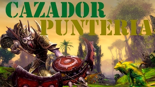 Cazador puntería PvP 4.3.4 arenas