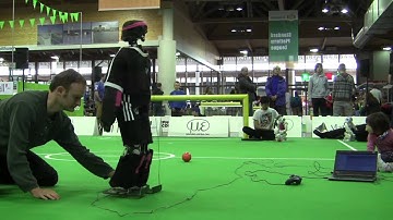 Humanoid Robot Dynaped Demonstrates Walking with Capture Steps