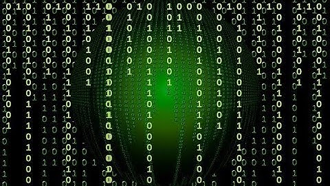 What is Computer Virus Polymorphism?