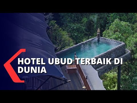 Video: Akomodasi Hutan Mewah Terbaik Di AS