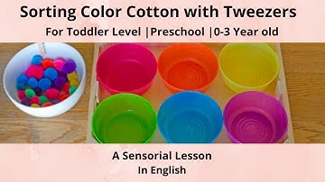 Sorting Color Cotton using Tweezers - A Sensorial Activity | Toddler Level