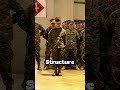 Meet the Drill Instructors #usmc #usmarines #marine #bootcamp #drillinstructor