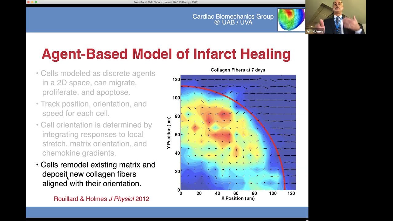 "Wound Healing Under Mechanical Load in Hearts, Skin, Tendons and Computers"