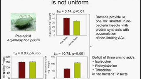 Angela Douglas - Origins and maintenance of host-microbe interactions