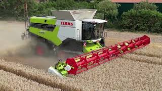 CLAAS LEXION 8700TT & FENDT 828 als Abfahrer bei der Weizenernte / 4K #dji #mini3pro