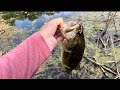 Fishing the Spawn after Work! (Lodi,CA)