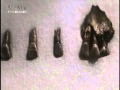 飛鳥の大宇宙　キトラ古墳に眠るのは？　1/2