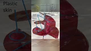 Strangest Propeller EVER Made!?