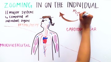 The Connection Between Structure and Function in Biology
