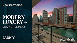 420 E Waterside Dr Unit 508 Chicago, IL Laricy Properties Drone Tour Listing Video