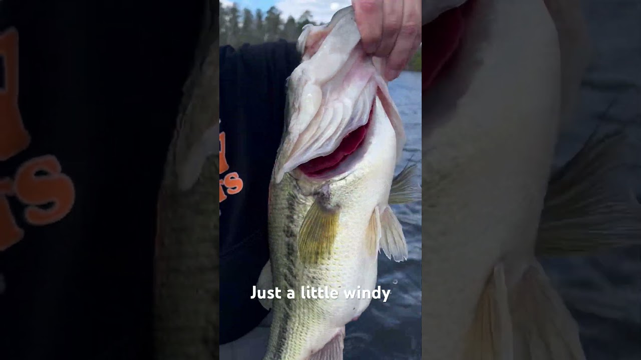 Got that anchor on spot lock  