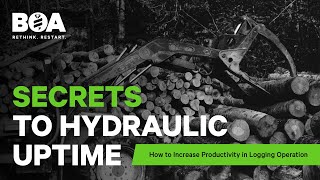 Logging Industry: How to Increase Productivity in Logging Operation - Woodlot Harvesting