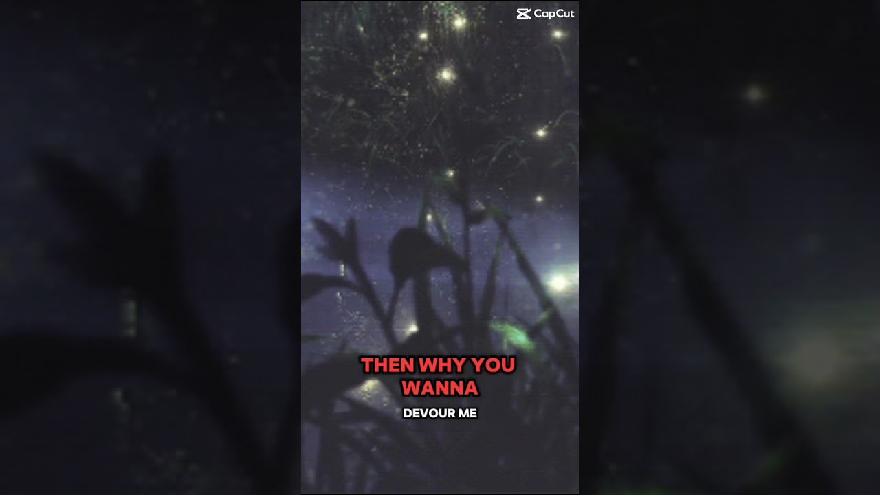 Firefly lives to shine 