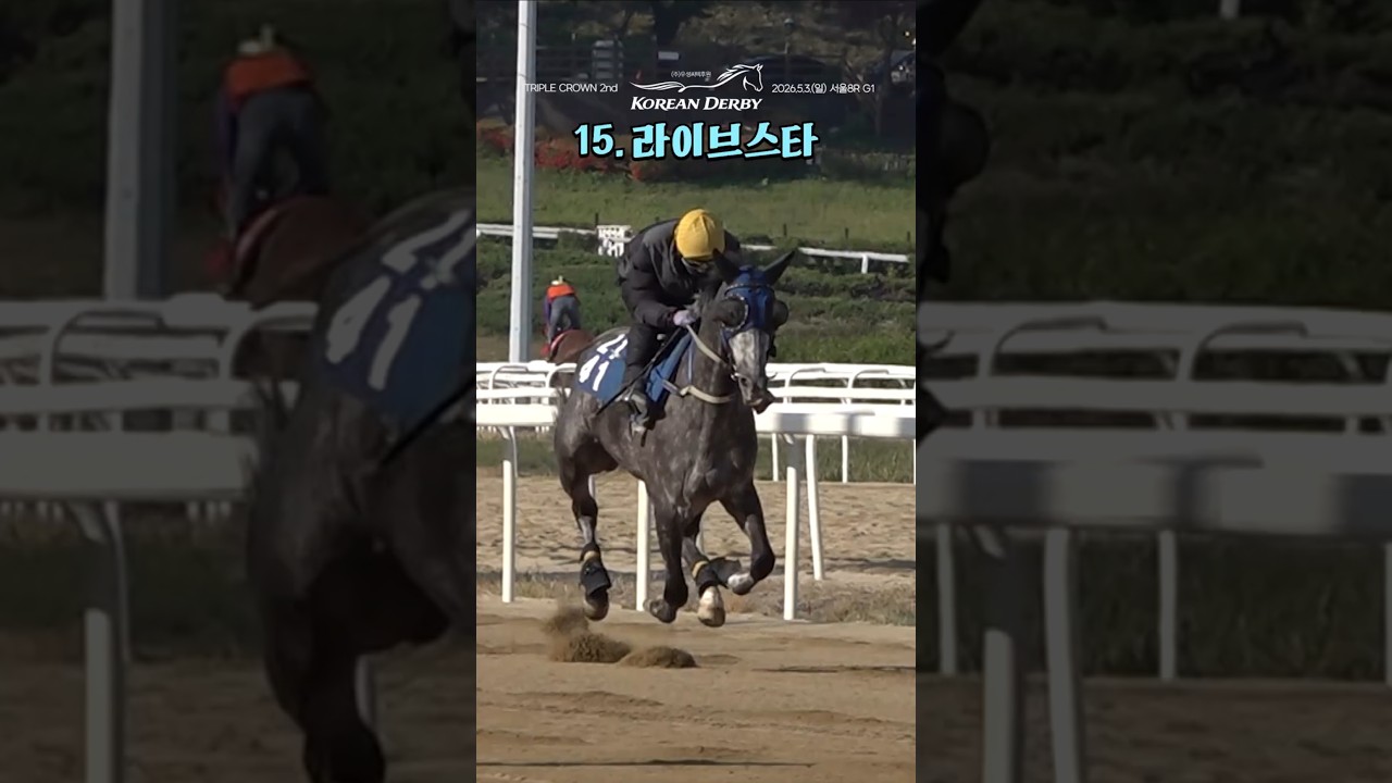 15.[서]라이브스타 #코리안더비 #트리플크라운