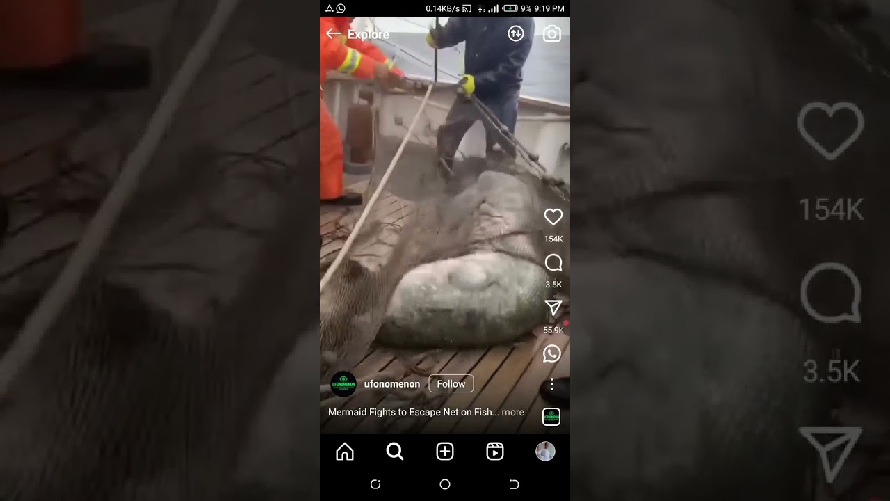 LAKE KIVU : ABAROBYI BO MURI COOPERATIVE BAROBYE MADAM SAMAKE IMEZE NKUMUNTU