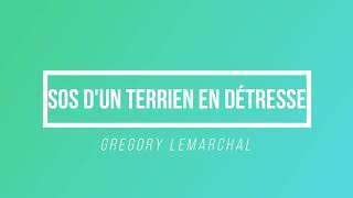 SOS d'un terrien en détresse - Gregory Lemarchal | [Paroles / Lyrics]