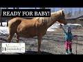 Ready For Baby! // Versatile Horsemanship