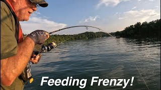 Fish were busting everywhere!!! Boone Lake Rodeo, July 7th
