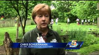 Thousands of volunteers gather to clean Cincinnati streets, homes