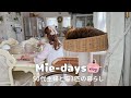 #277. GW最終日、暮らしを整える｜姉の新居へ、お部屋の模様替えと癒しの猫たち