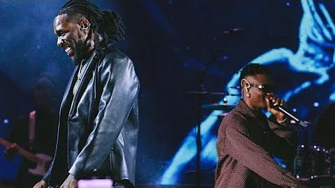 Wizkid joins Burna Boy on stage at Hollywood Bowl shutdown performance 🔥