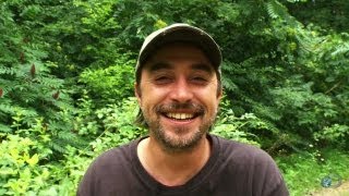 Beer Or Bacon? Tickle