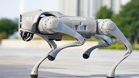 How to stop a robot dog