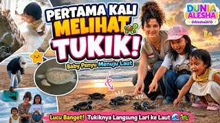 🐢🌊MELIHAT PELEPASAN TUKIK BABY PENYU DI PANTAI PANGUMBAHAN 🏝️✨