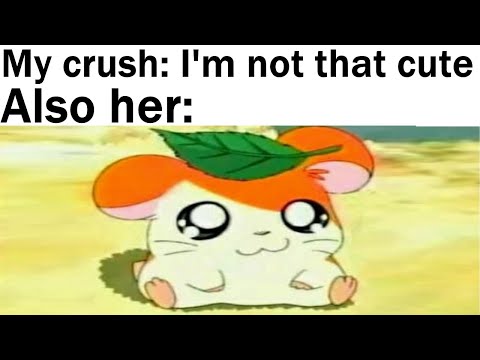 Wholesome Memes 6