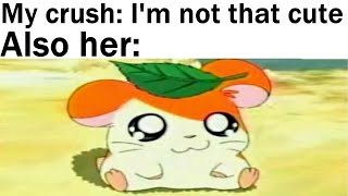 Wholesome Memes 6