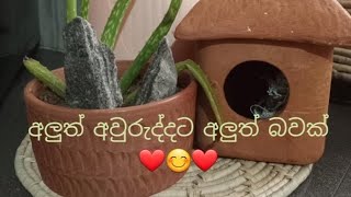 පුංචි තැනින්  වියදම් අඩුවෙන් පටන් ගමු ❤❤