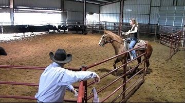 Valley View Ranch - Smooth And Smart - sorting 2