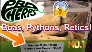 Pro Herps at the Taylor Michigan Reptile Show!