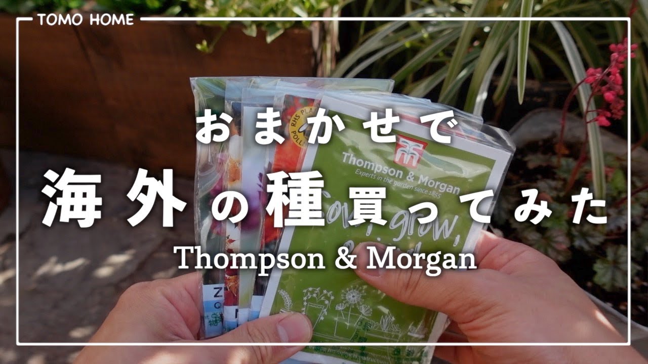 【詰め合わせ】珍しい品種が大量！？開封と種まきやってみた