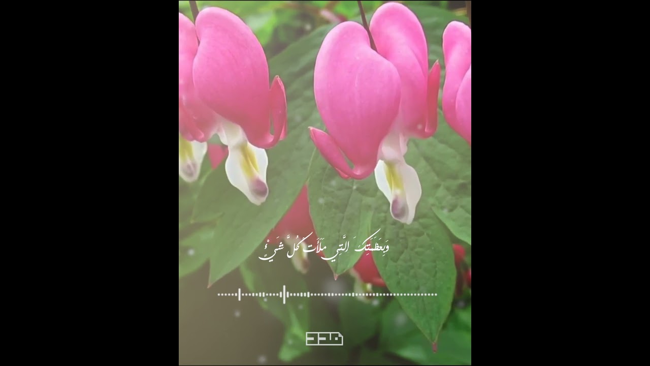 اللهم إنّي أسألك برحمتك التي وسعت كل شي #دعاء_كميل