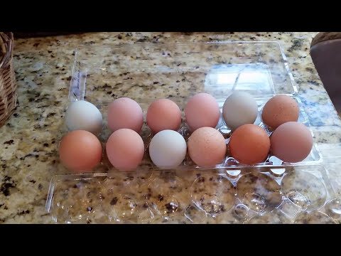 Video: How To Store Chicken Eggs