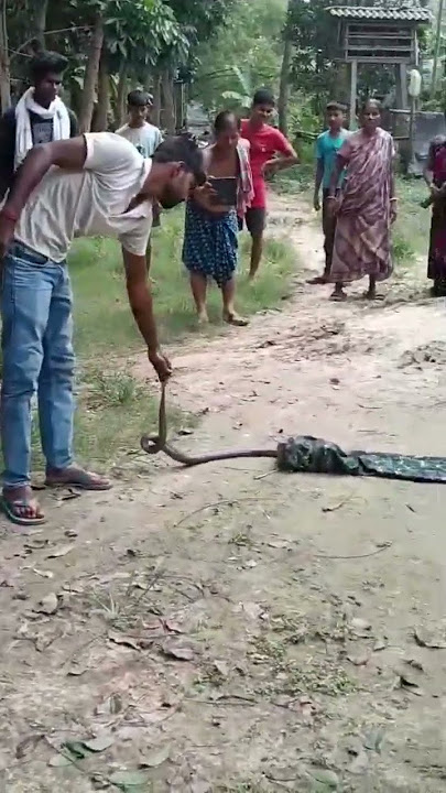 king cobr #whowillbemylifepartnerta #nothingimposibleinthisworld #vlog