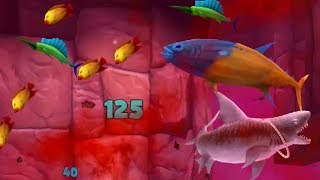 Hungry Shark Evolution Android Gameplay #43 (Tiger Shark) screenshot 4