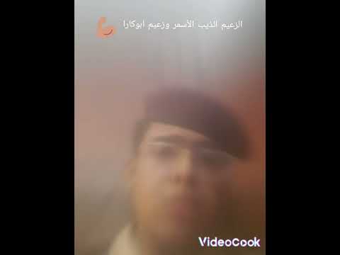 اغنيه الجوكر مطوتي فعاله تصميم مجروح